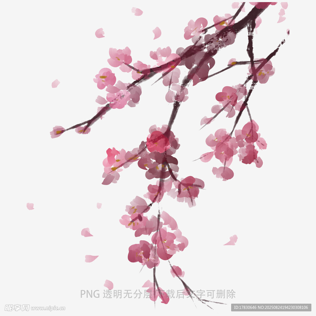 花朵