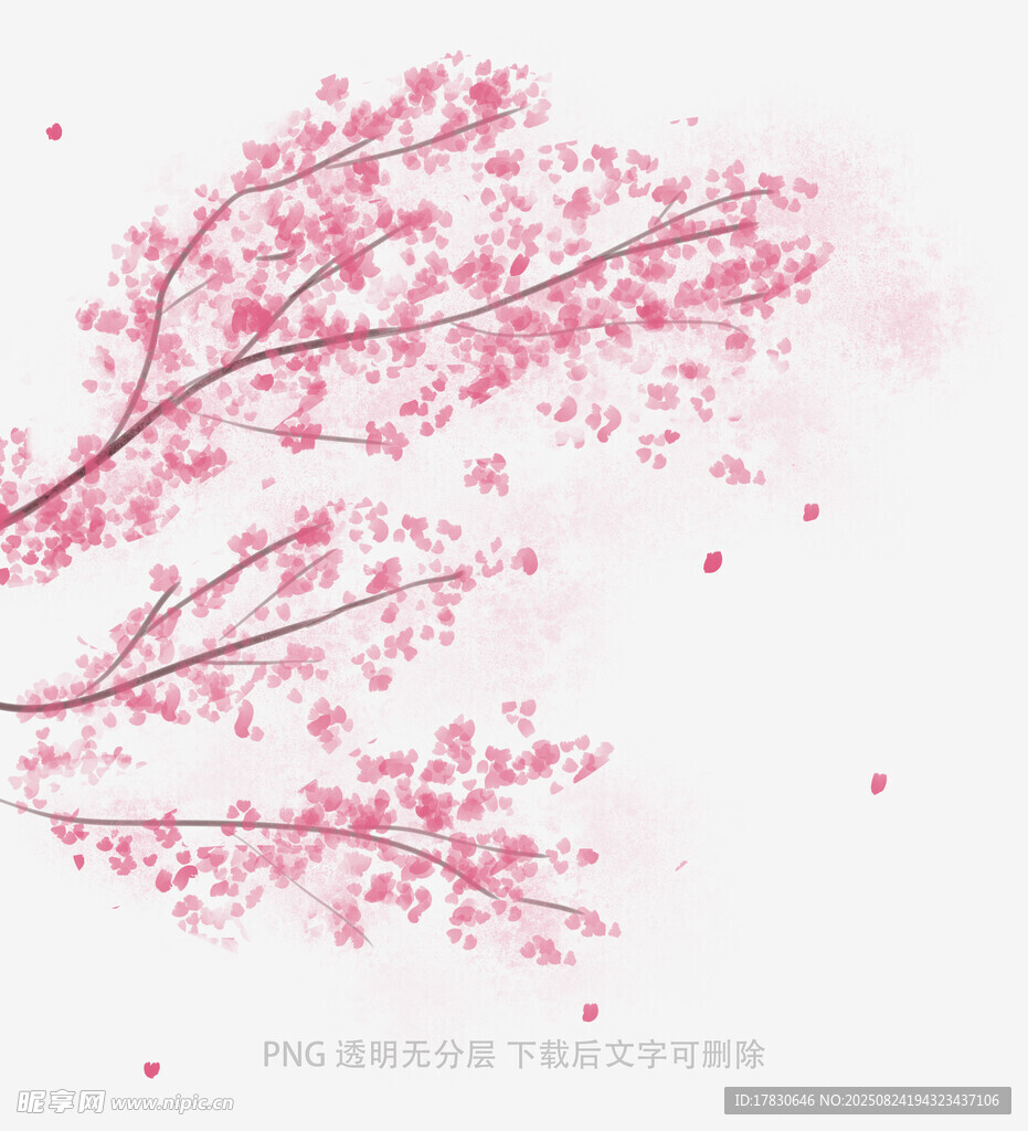粉色樱花树枝唯美背景图