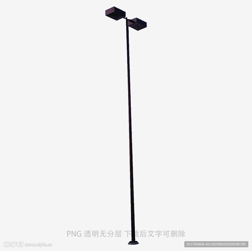 黑色双灯头户外路灯
