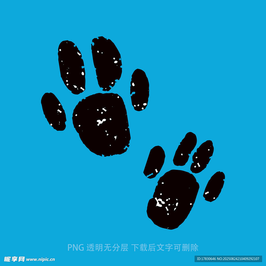 猫咪