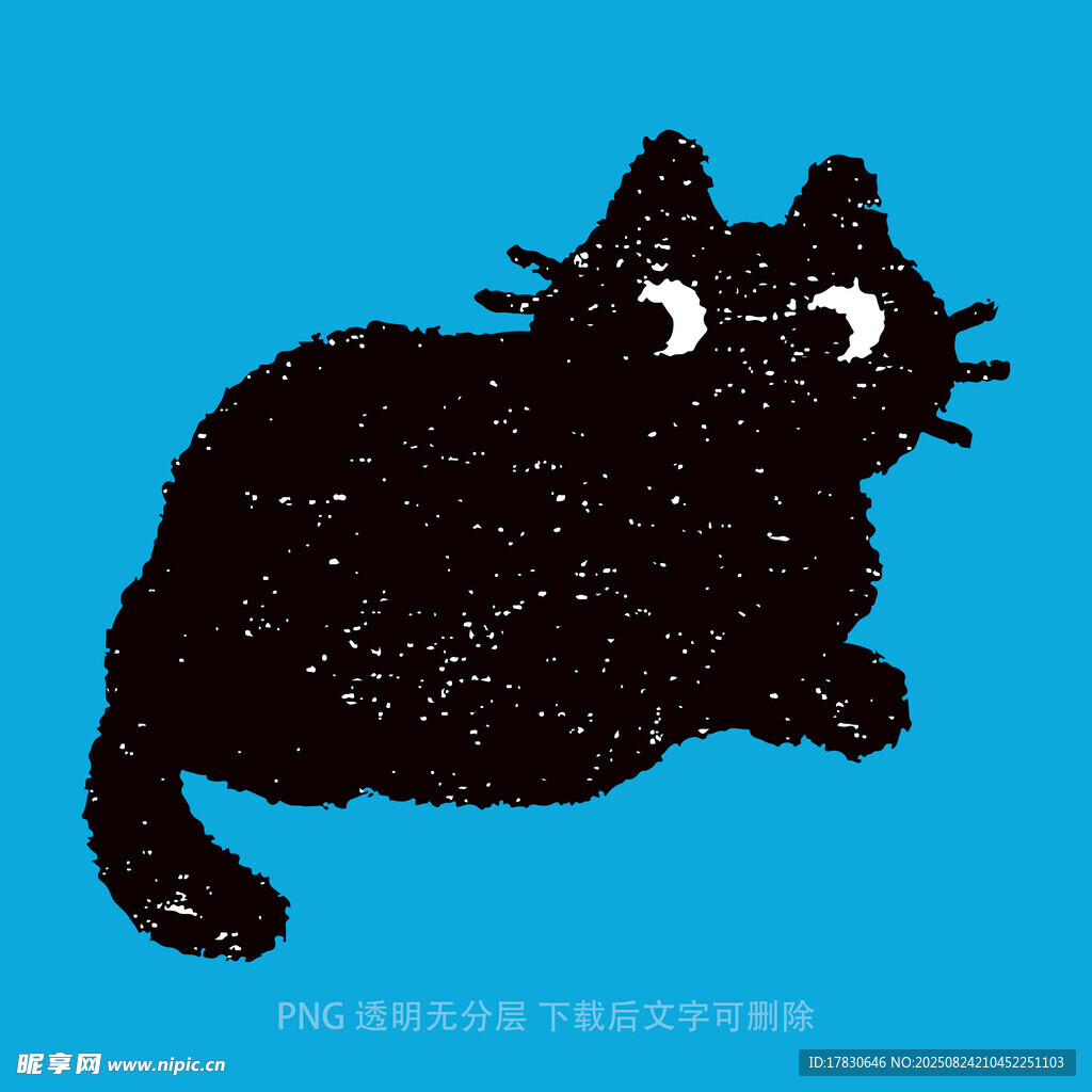 猫咪