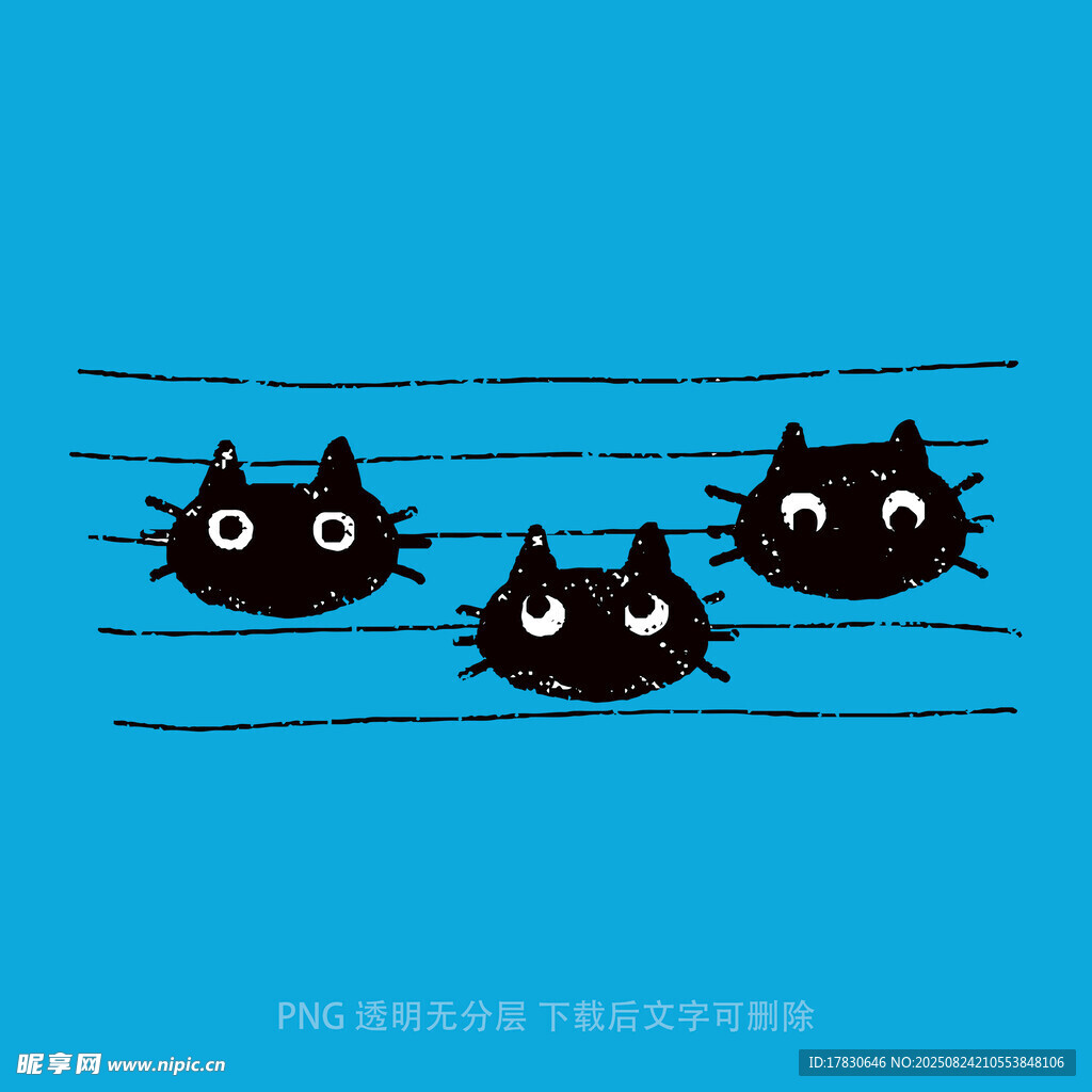 三只黑猫挂在电线上