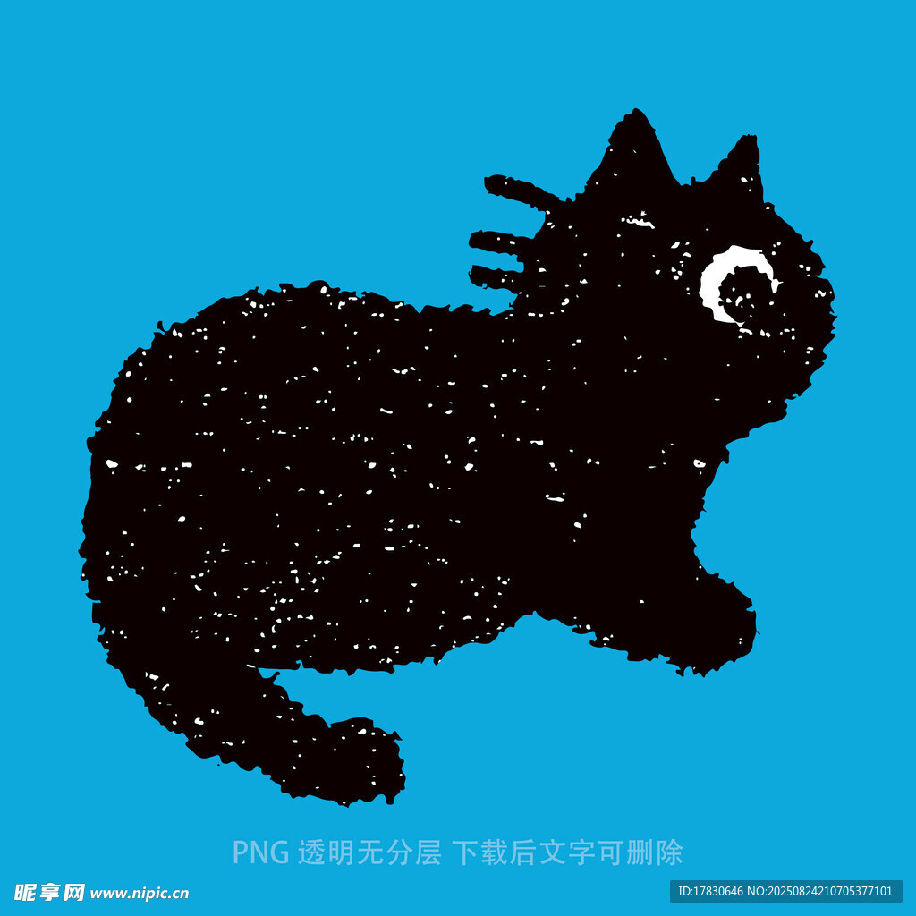 猫咪