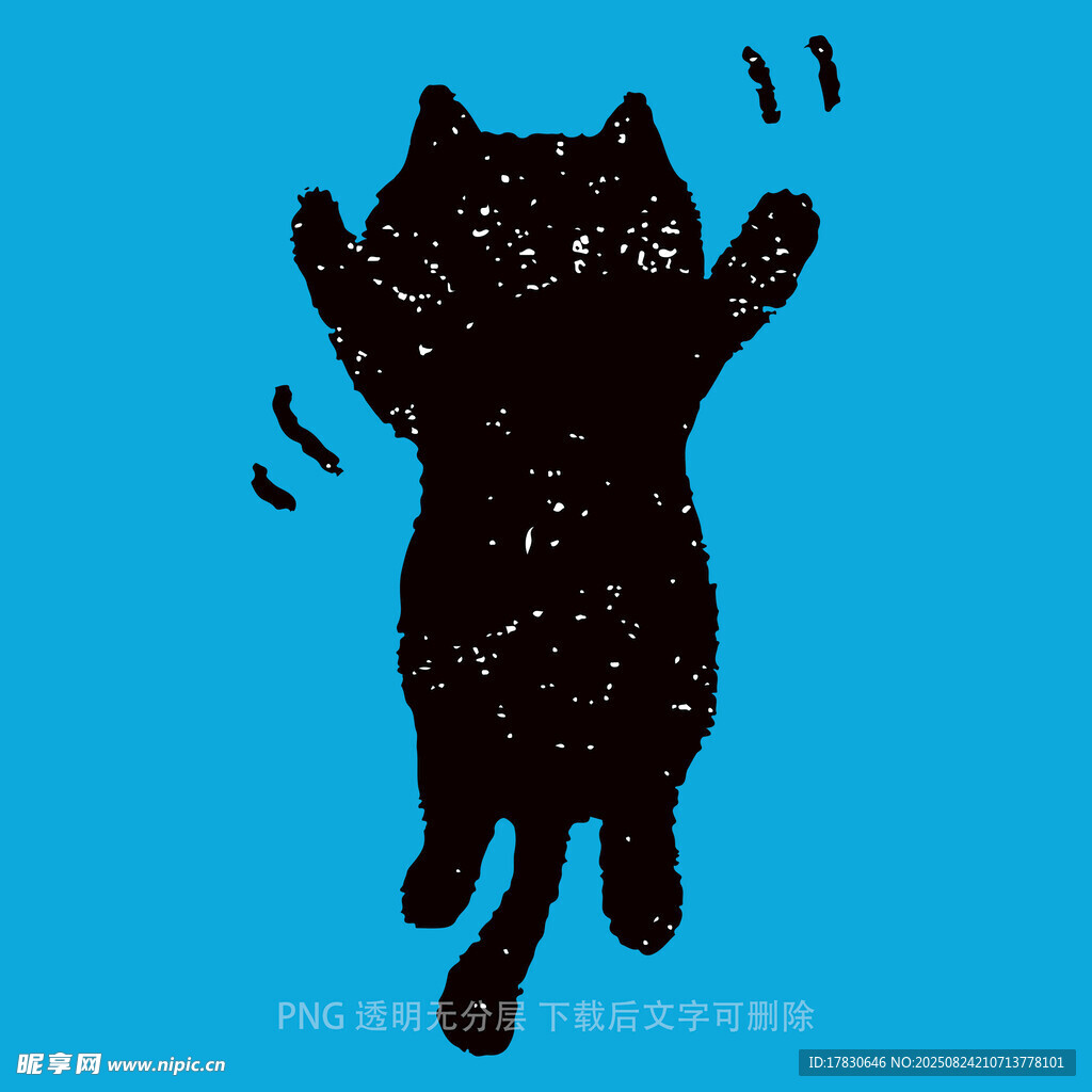 跳跃的黑猫星空剪影