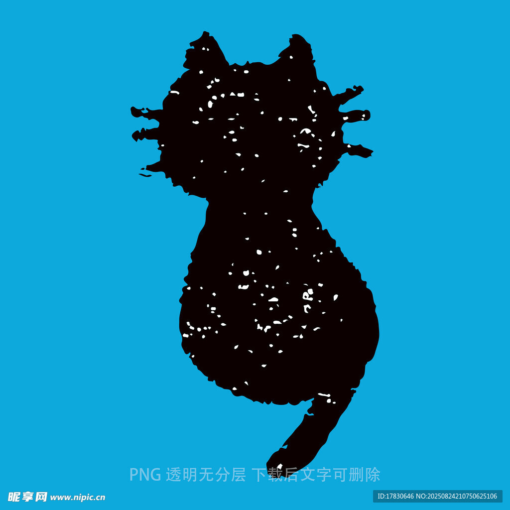 猫咪