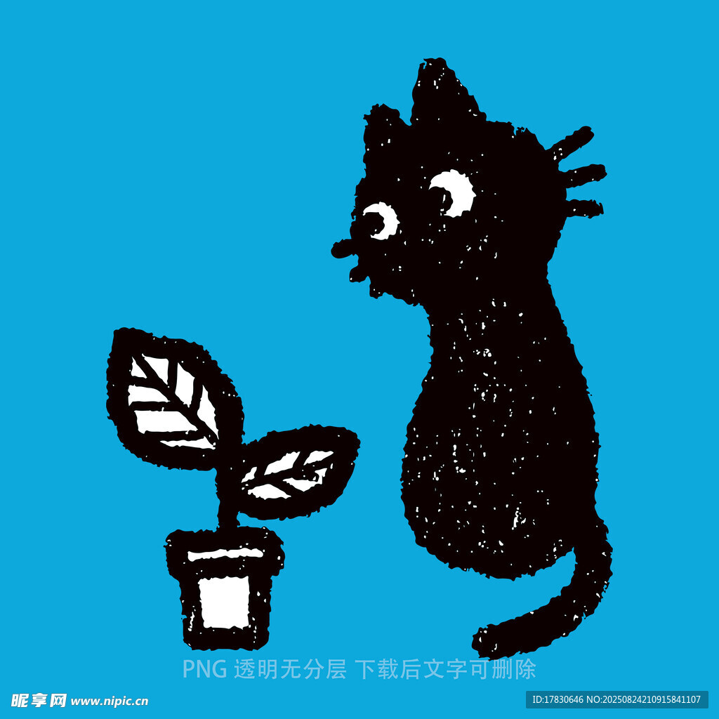 黑猫望绿植