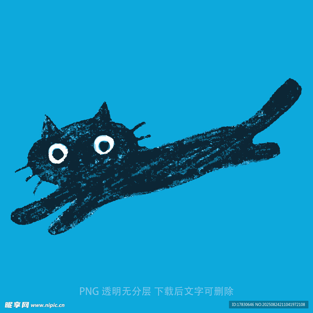 飞翔的黑猫