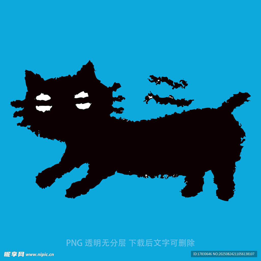猫咪