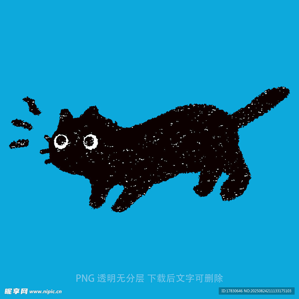 猫咪