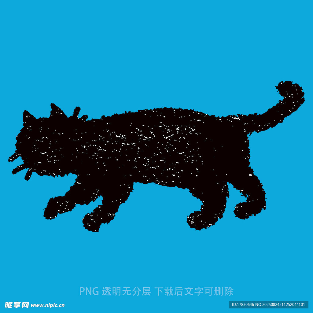 猫咪