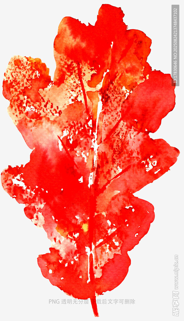 红色枫叶水彩艺术画