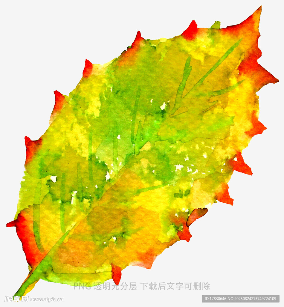水彩绘多彩秋叶