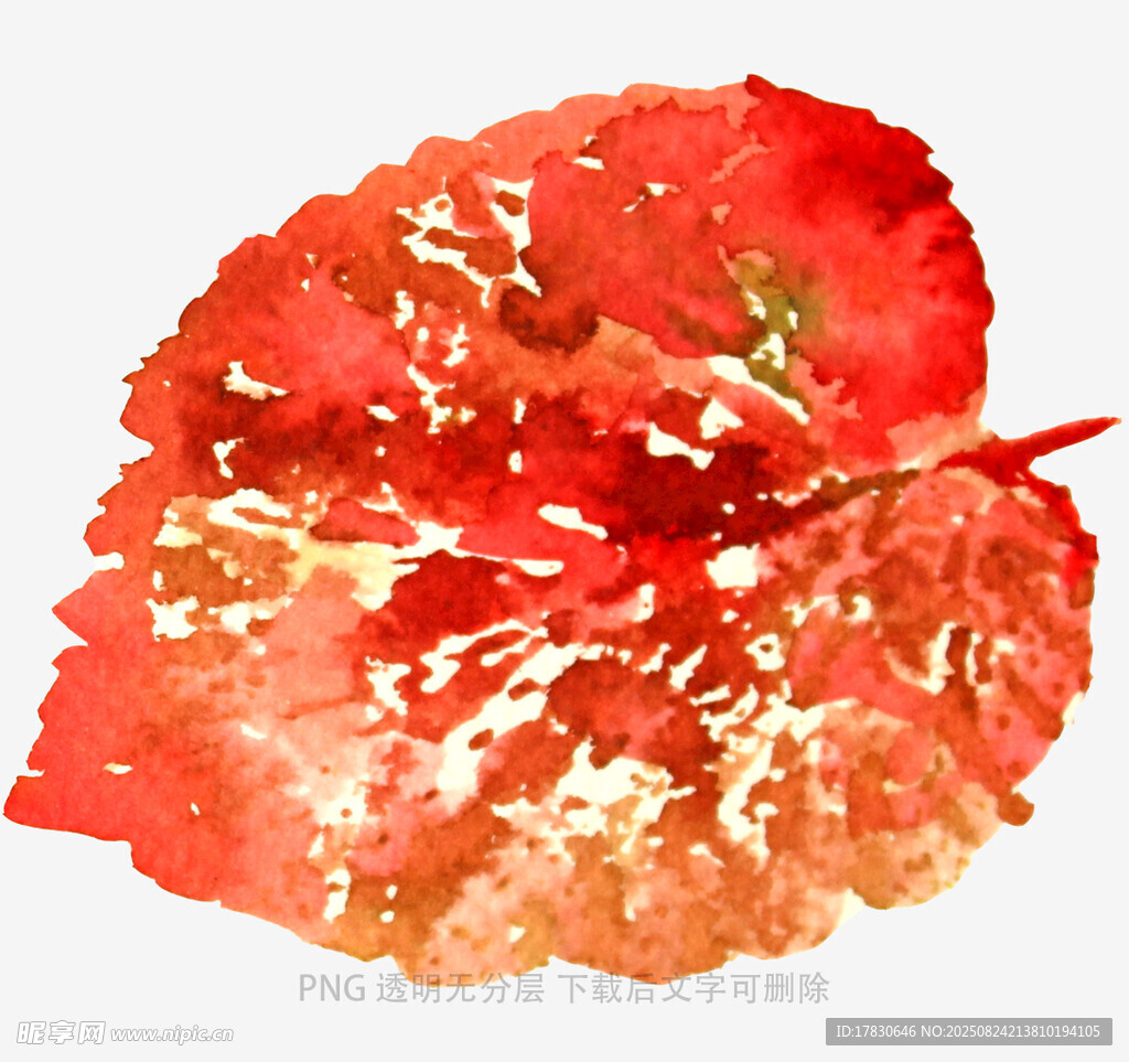 水彩绘就的红色秋叶