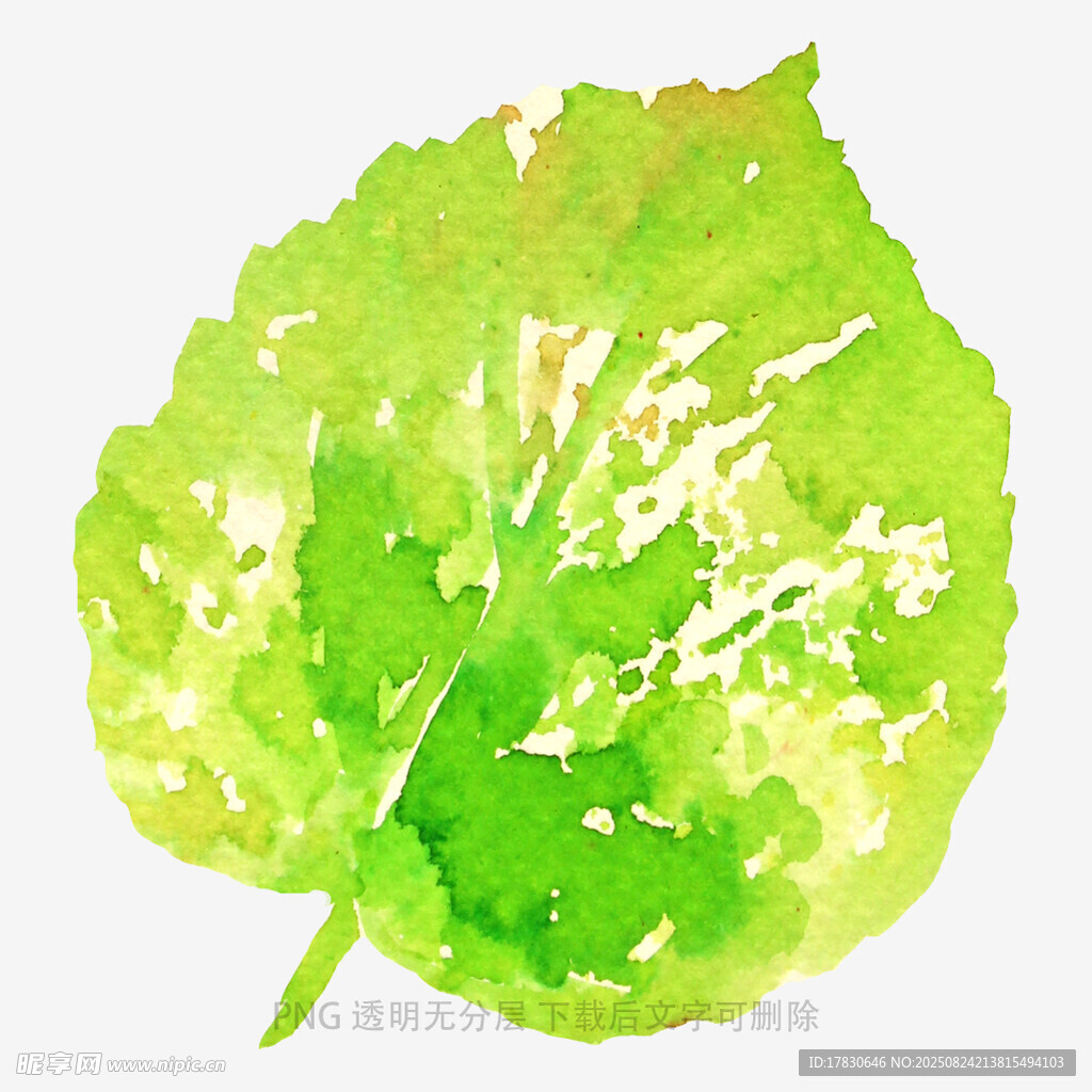 水彩绘就的清新绿叶