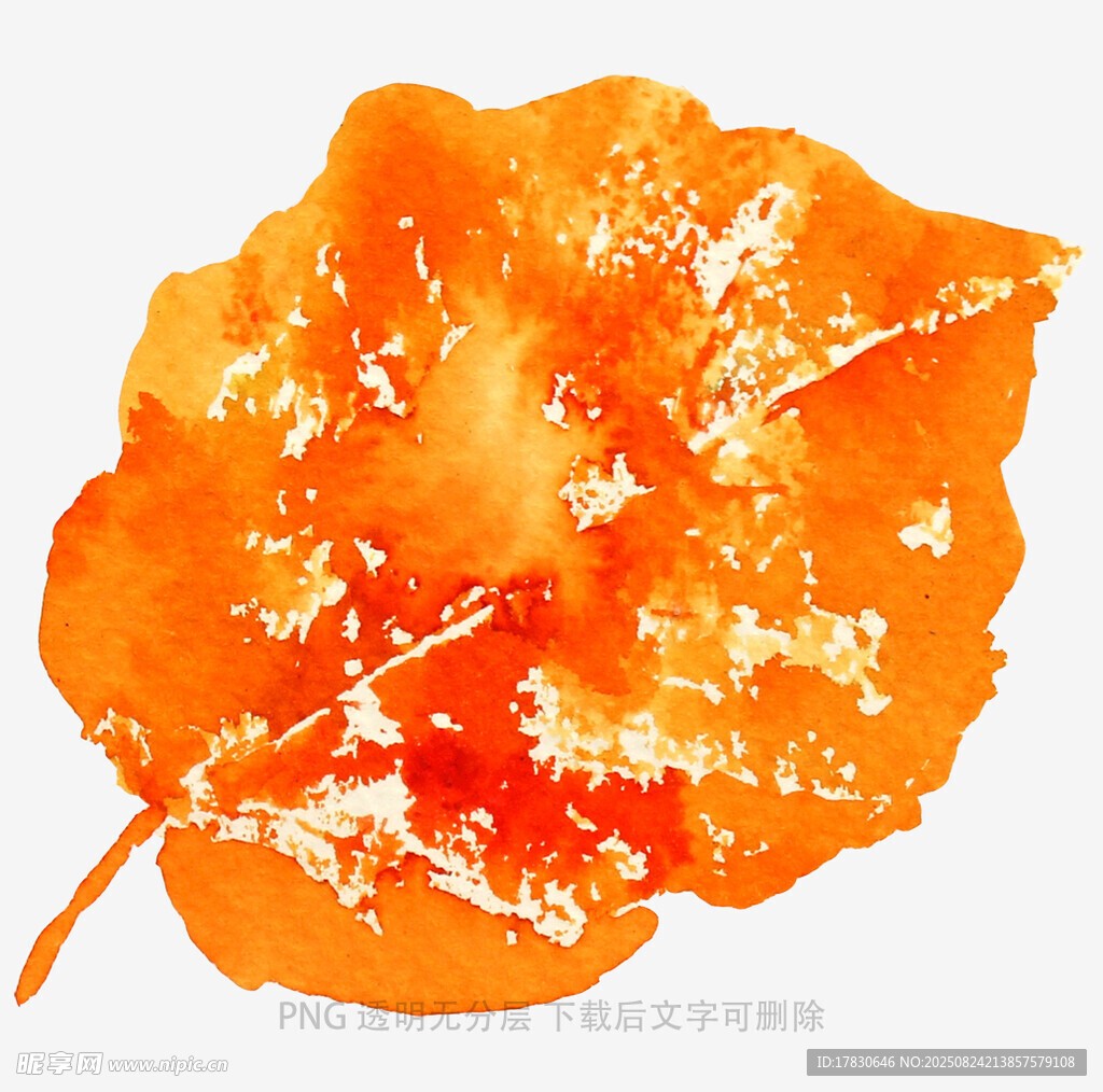 橙色水彩绘就的抽象叶片