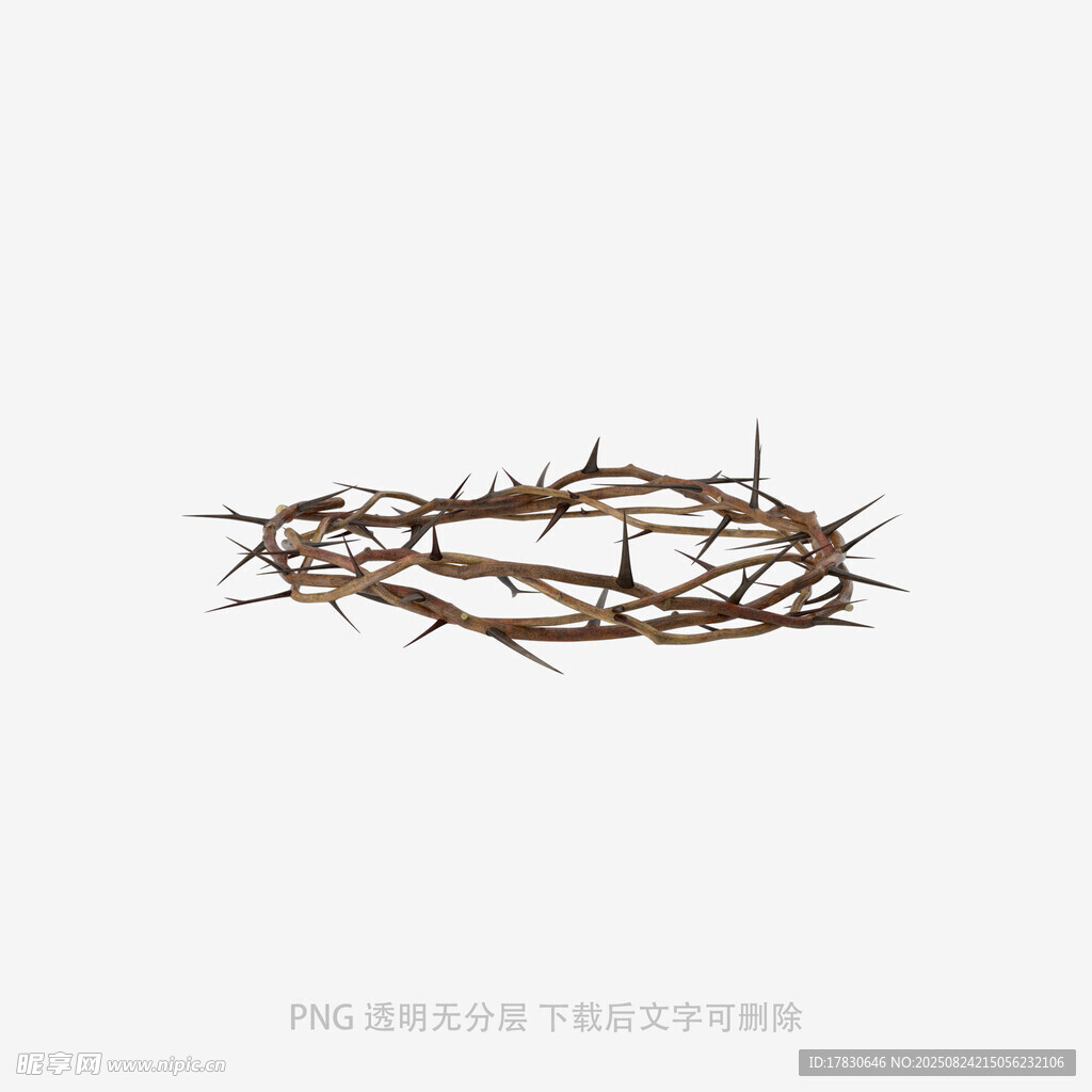 荆棘冠冕
