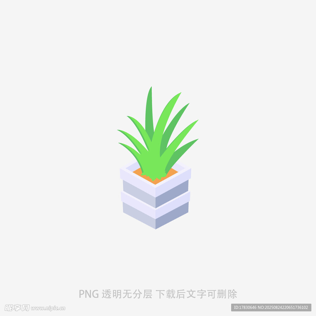 简约风盆栽插画