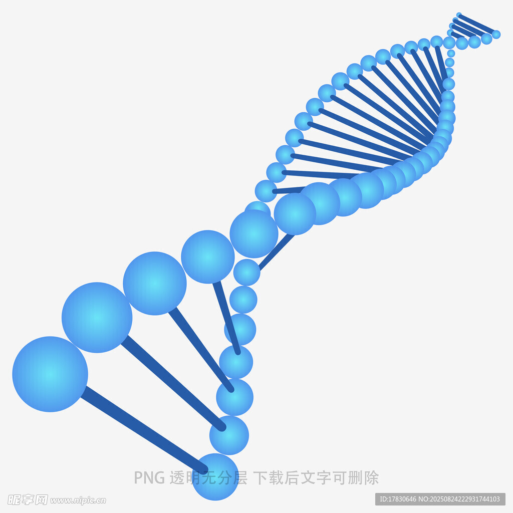 蓝色DNA双螺旋结构模型