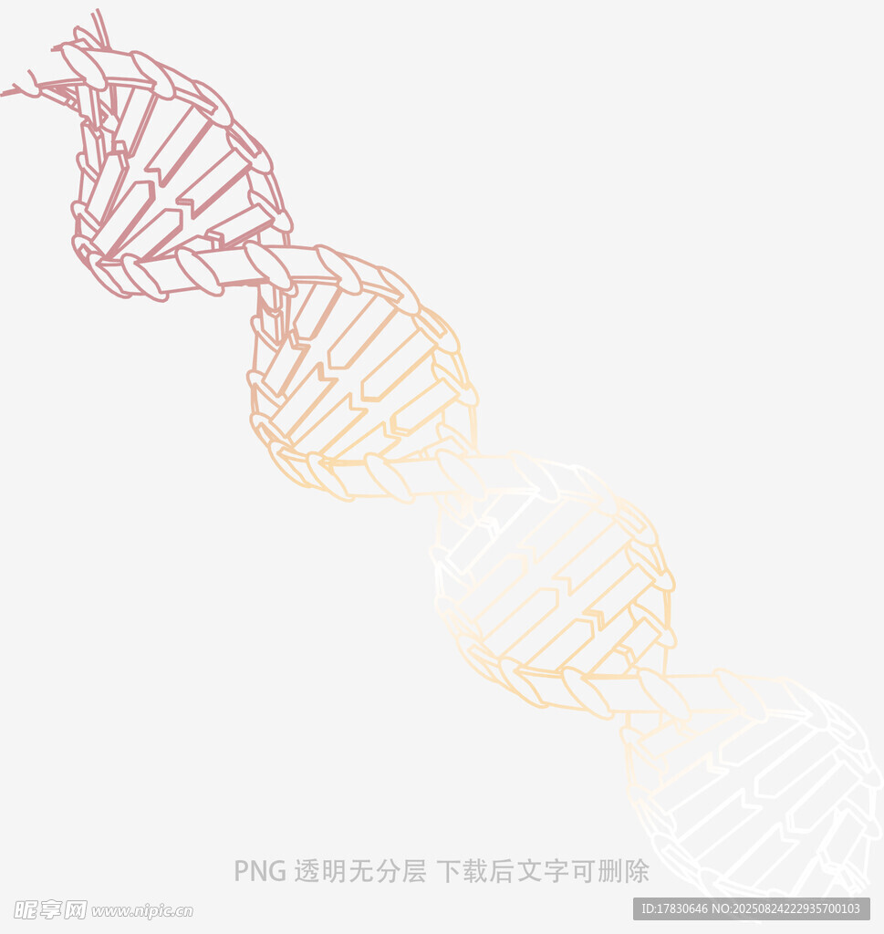 渐变DNA双螺旋图案设计