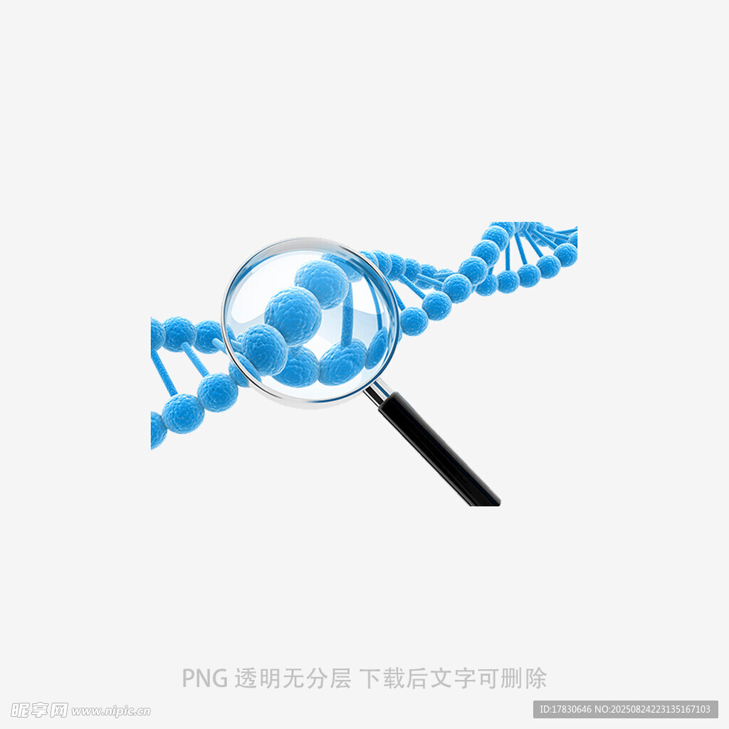 放大镜下的DNA双螺旋结构
