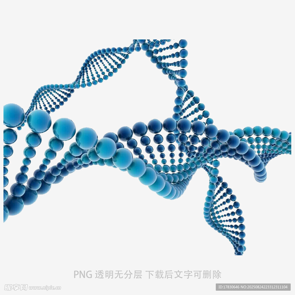 蓝色DNA分子结构模型