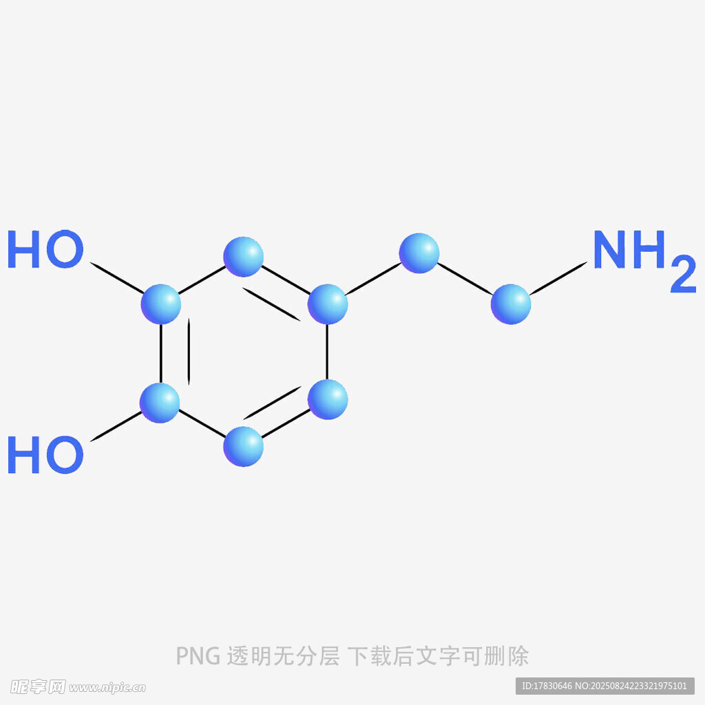 多巴胺分子结构示意图