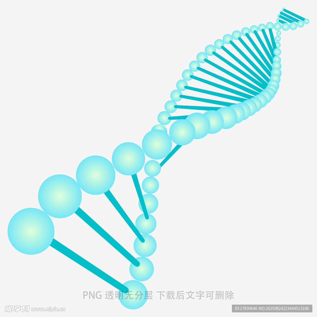 蓝色DNA双螺旋结构模型