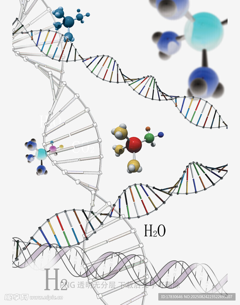 DNA分子结构图示