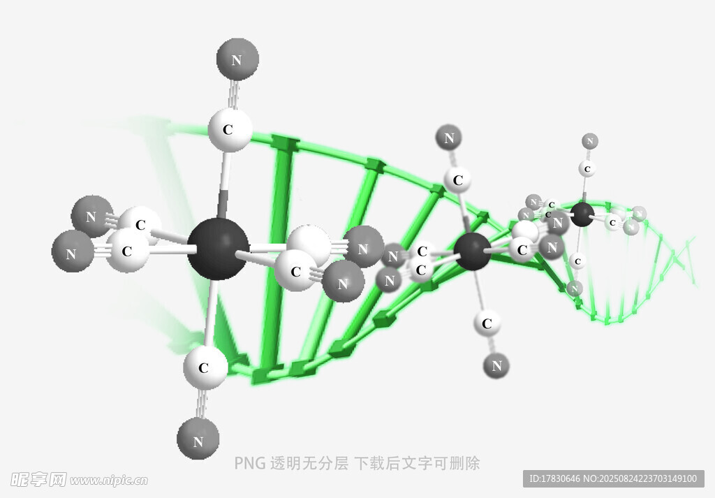 DNA分子结构模型展示