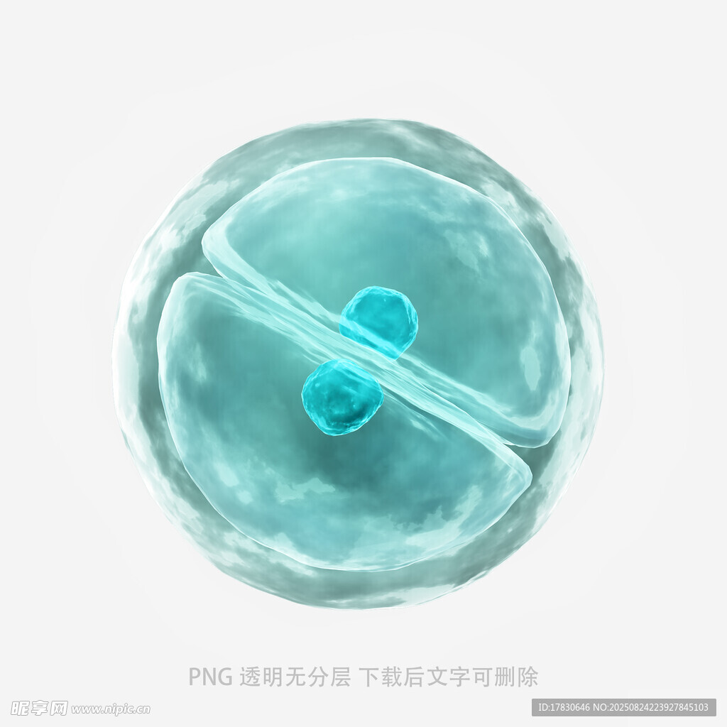透明圆球内的蓝色物件