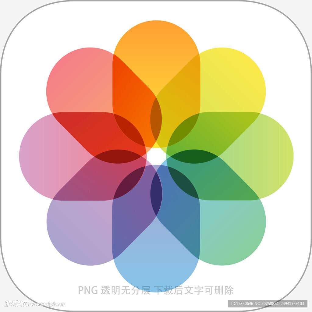 多彩花瓣图标