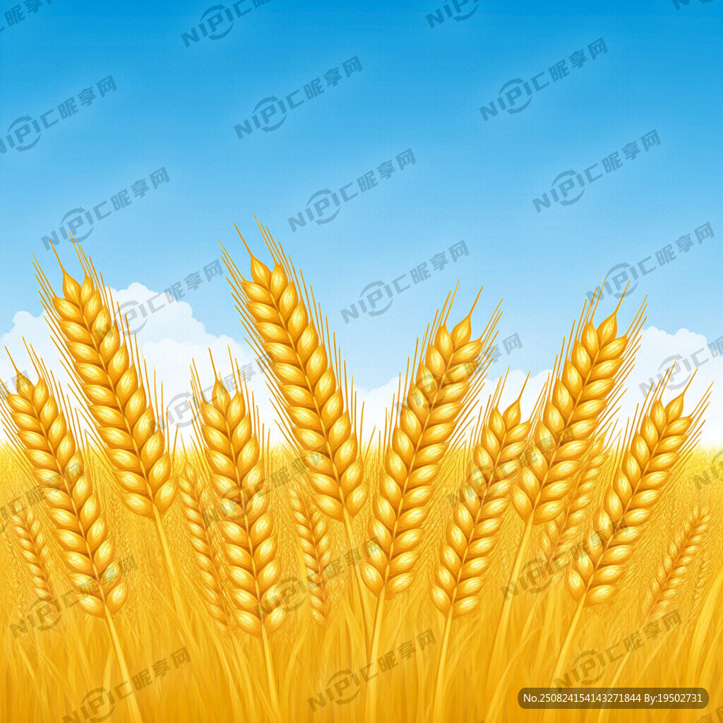 丰收的矢量小麦穗