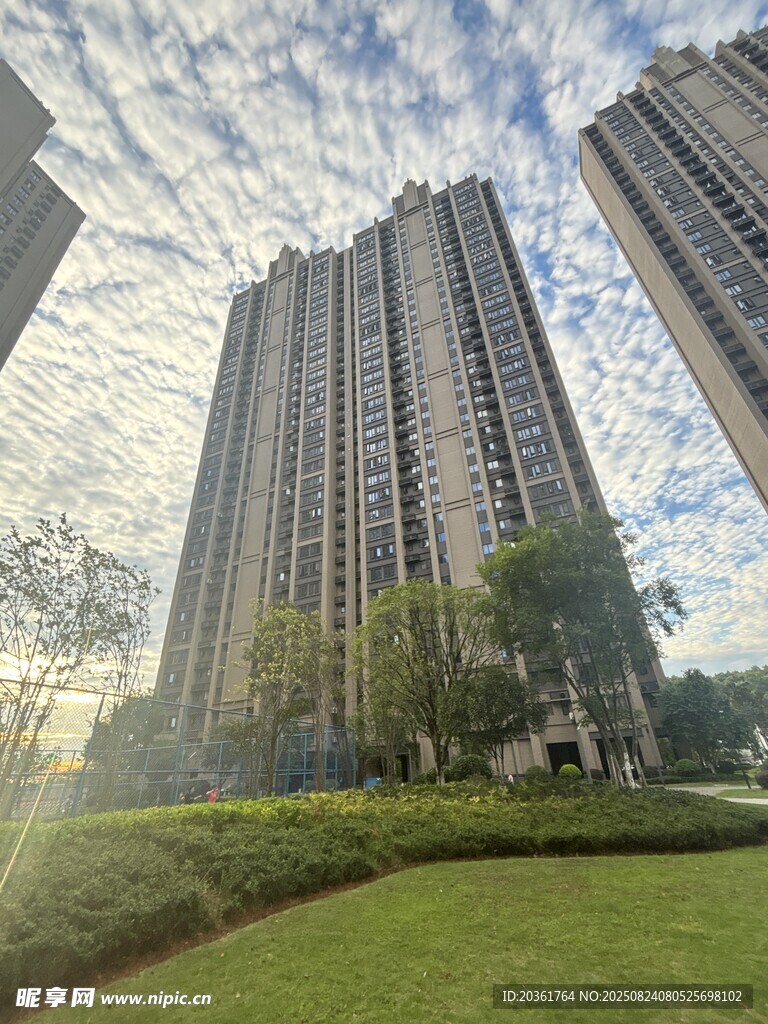 高层住宅旁的绿意景观