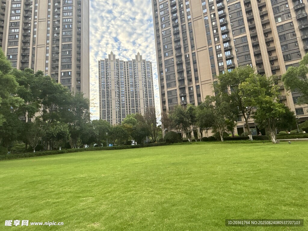 城市中的开阔绿地与高楼