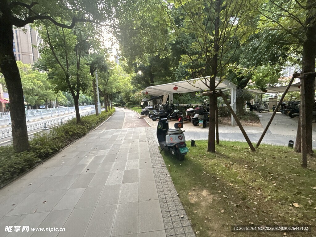 城市林荫小道上的骑行者