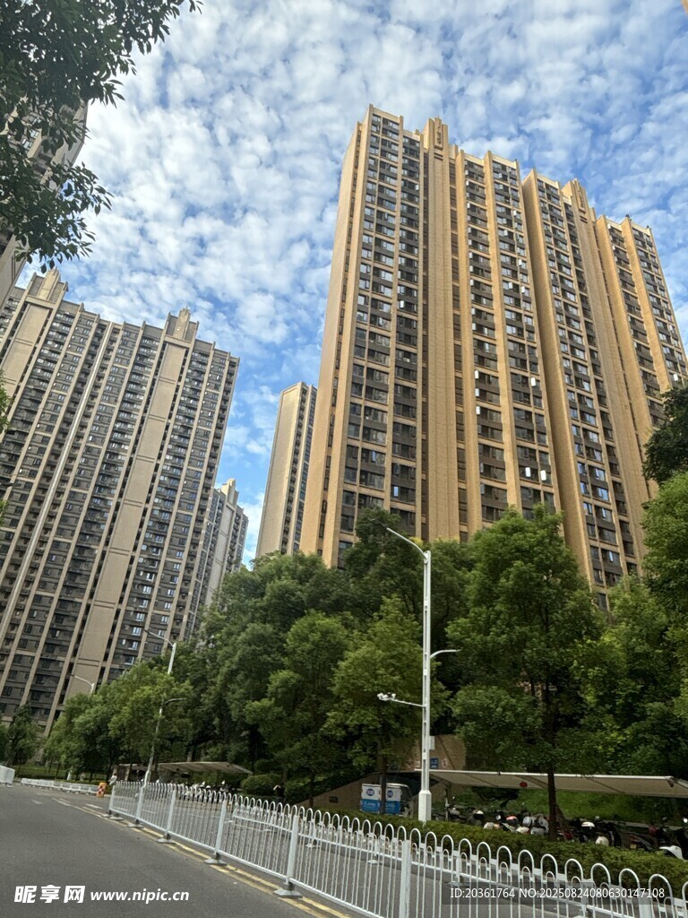 城市高楼与绿树景观