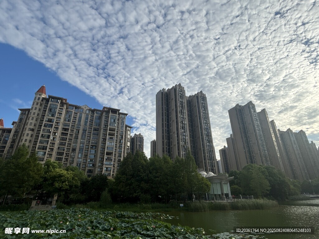 湖畔高楼林立的城市景致