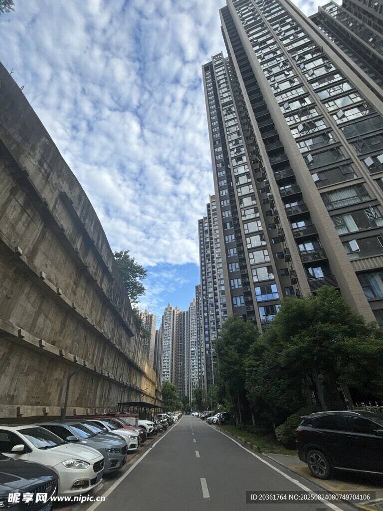 城市街道旁的高楼与车辆