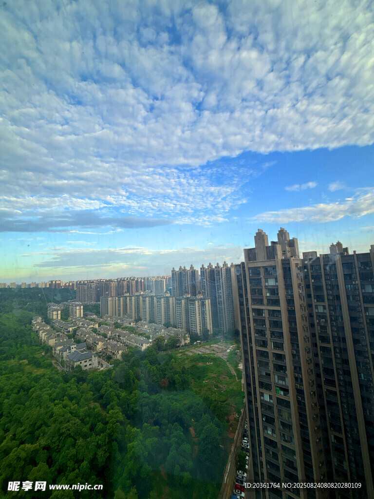 城市高楼与葱郁植被景观