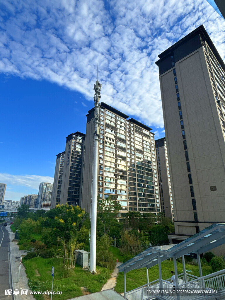 城市高楼与蓝天绿树景观