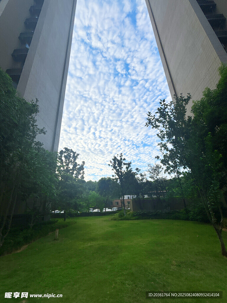 高楼间的绿意草坪景观