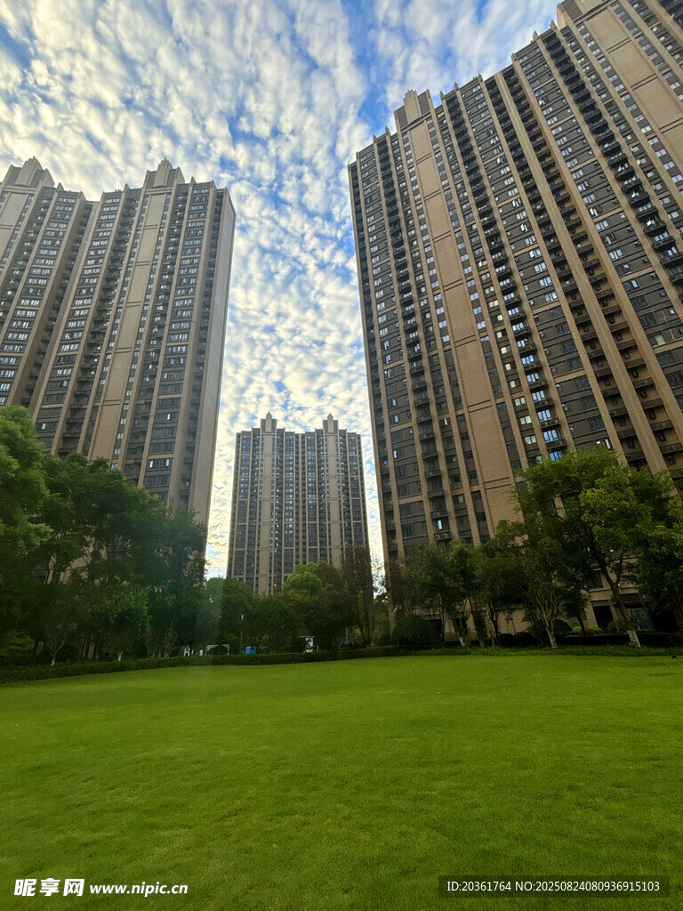 城市绿地旁的高楼景观