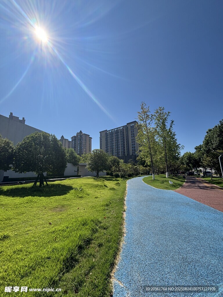 阳光照耀下的公园步道