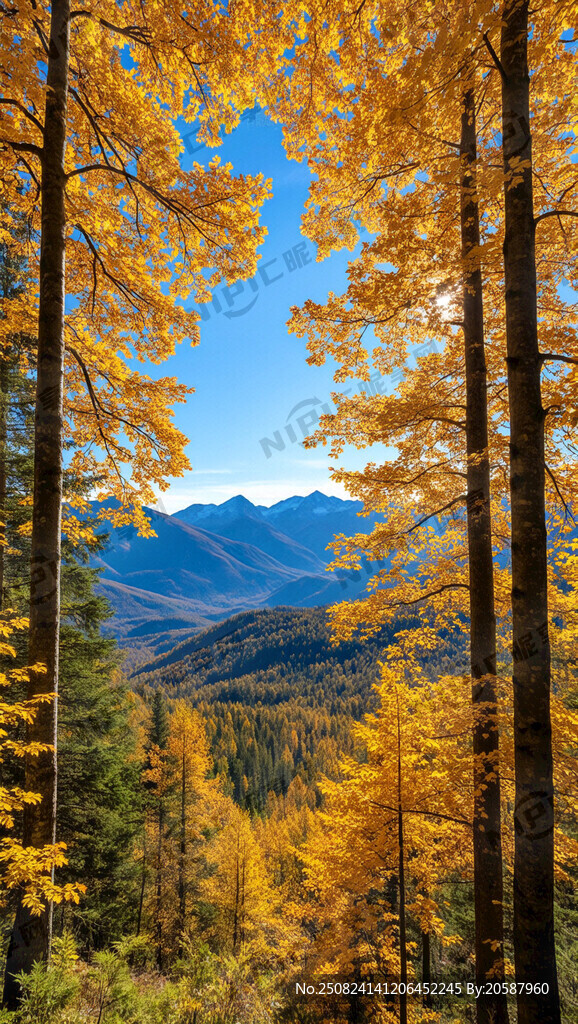 森林秋季震撼背景