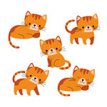 可爱橘猫卡通形象集合