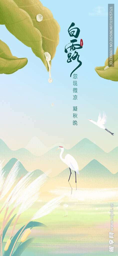  白露