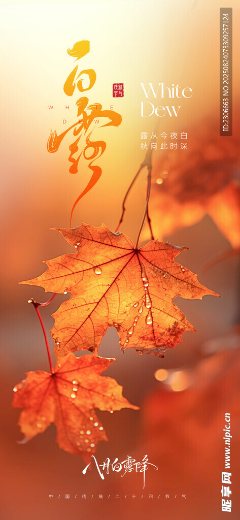  白露