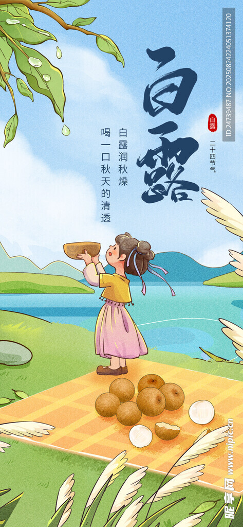 白露海报