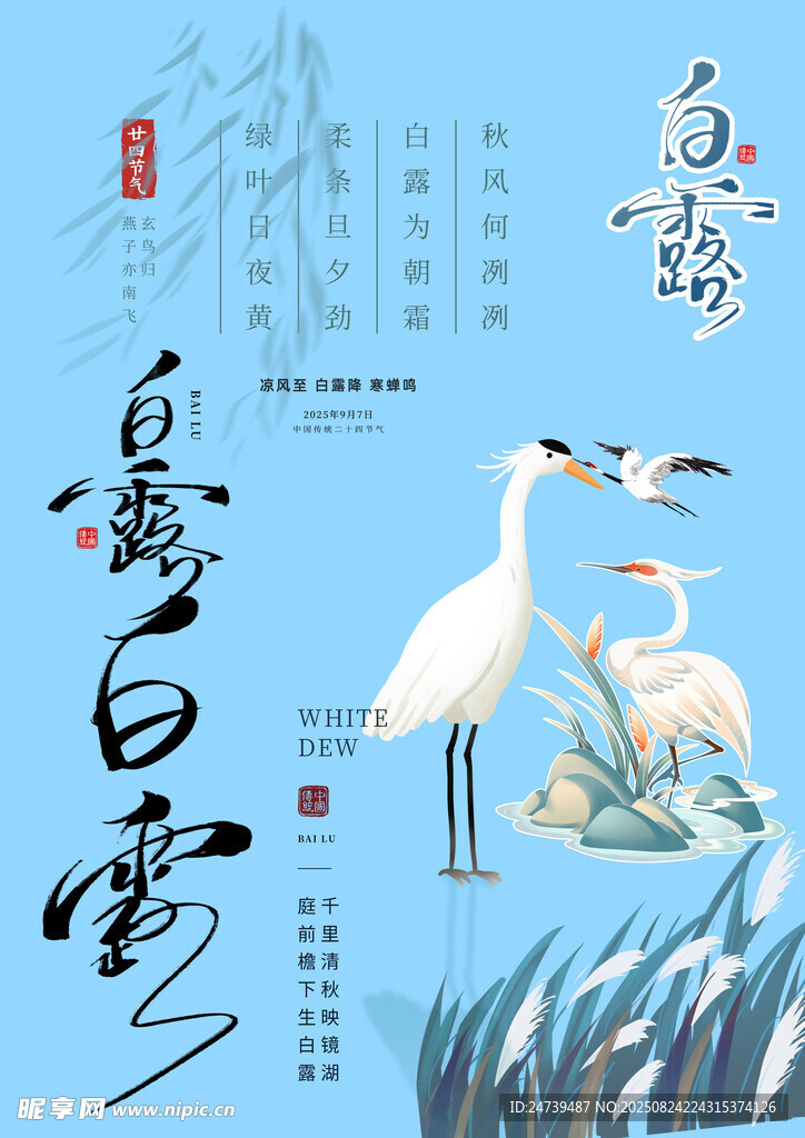 白露素材