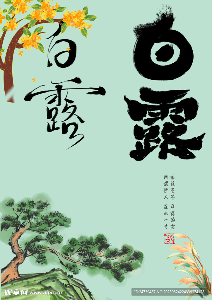 白露素材